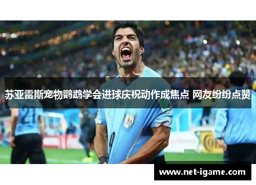 苏亚雷斯宠物鹦鹉学会进球庆祝动作成焦点 网友纷纷点赞 苏亚雷斯宠物鹦鹉学会进球庆祝动作成焦点 网友纷纷点赞