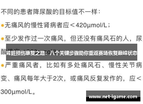 肾脏损伤康复之路:八个关键步骤助你重返赛场恢复巅峰状态 肾脏损伤康复之路:八个关键步骤助你重返赛场恢复巅峰状态