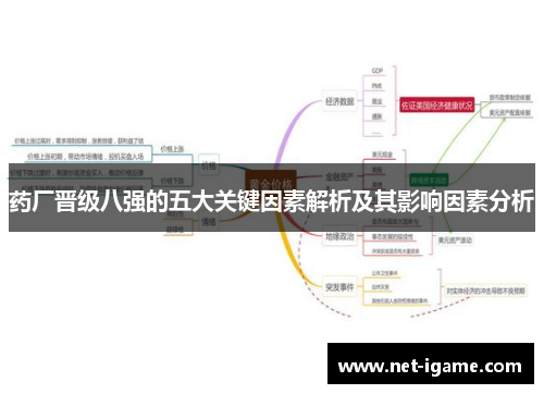 药厂晋级八强的五大关键因素解析及其影响因素分析