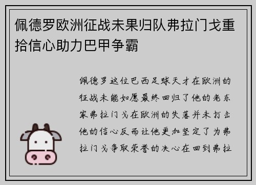 佩德罗欧洲征战未果归队弗拉门戈重拾信心助力巴甲争霸 佩德罗欧洲征战未果归队弗拉门戈重拾信心助力巴甲争霸